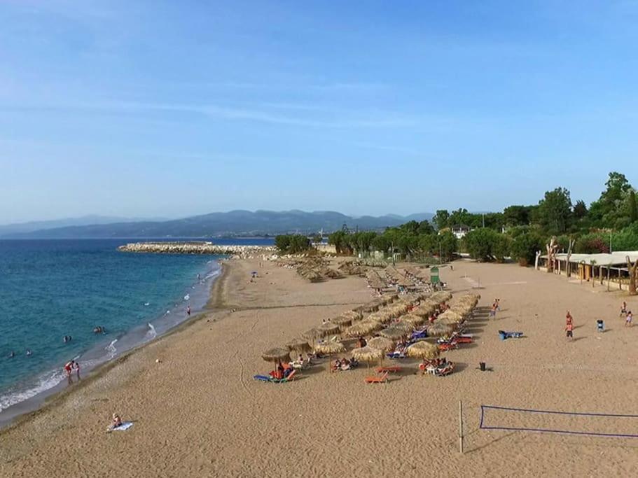 Apartament Στούντιο Σε Πέτρινο Σπίτι, Κοντά Σε Παραλία Kyparissia Zewnętrze zdjęcie
